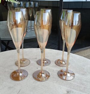 6pc champagne glass set