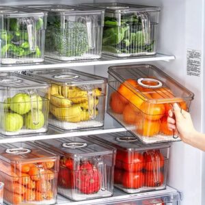 Acrylic Fridge Containers